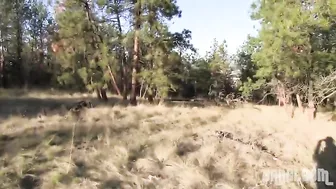 student sucks dick in the park