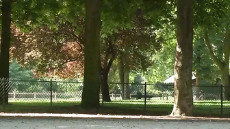 fucked brunette in the woods in the cap