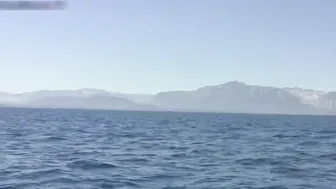 aspenrae.fuckmeatlaketahoe mature bitch stretches big labia