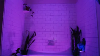 xobondaixo record 12.07.2019