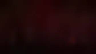 ocicat spectacle 19.07.2019