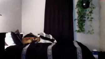 littlestleobaby whore babe jerks off through panties