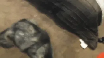 cosmicneko homemade camera fucking