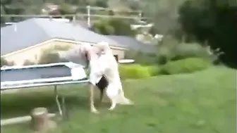 Nicole Aniston scene 19.07.2019