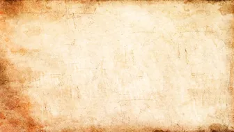 Bryci webcast 28.06.2019