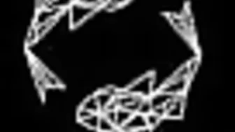 porno screen 21.07.2019