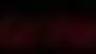 pettylove screen 14.06.2019