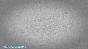 Haley Reed in black stockings jerks off