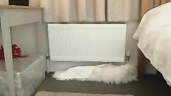 LilyPink live video 18.06.2019