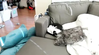 DelightfulHug shy babe fucks pussy with phallus