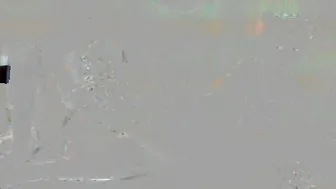 CuteAndLinksy webcam 3.07.2019