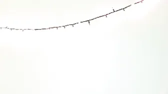 Elfiex lady jerks off pussy and moans