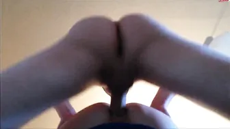 Lucy Cat render 19.07.2019