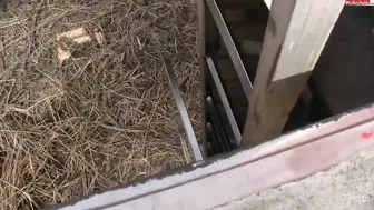 schnuggie91 spectacle 13.07.2019