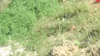 Young Devotion porn record