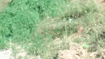 Young Devotion busty pussy sucks dick