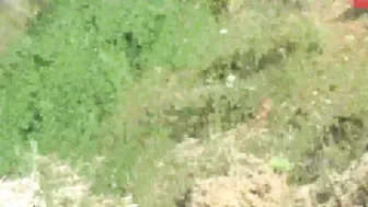 Young Devotion crazy slut shows off saggy tits