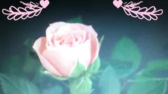 Effy Elizabeth busty milf - deliciously jerking her pussy