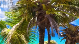 HeidiWow sweet ladies expose their charms