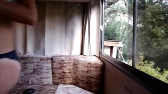 cockatielbaby video 19.06.2019