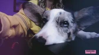 oooops___ record from adult chat