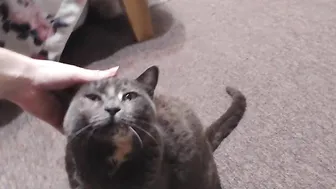 Forest_nymph blonde takes off her stockings and daubs