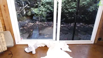 artemisft crazy passion shows tits