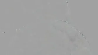 AlissonR a test bitch fucks herself