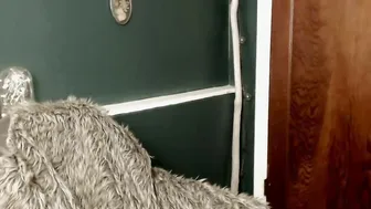 lillexie ticket show 12.10.2019