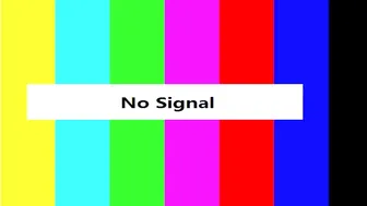 dawnwillow webcast 2.09.2019