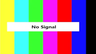 dawnwillow webcast 2.09.2019