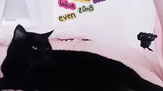 nataliagrey  tanned brunette gently pulls pussy