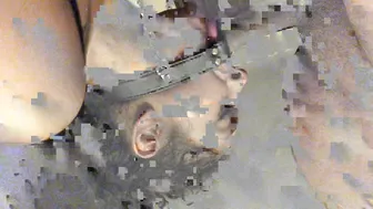 daddy slave sexy slut shows big tits