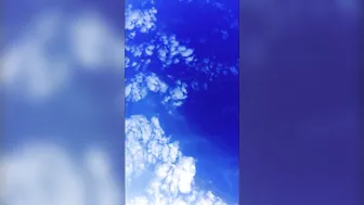 Ana Dhara manyvids beauty fucks her holes with dildos