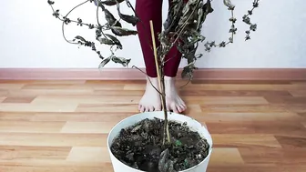 megaplaygirl manyvids render 9.09.2019