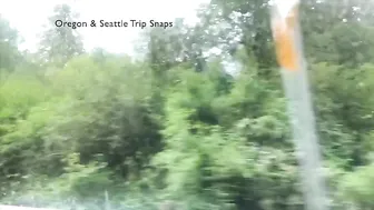 Jasmine Greyxxx manyvids slutty bitch masturbates pussy