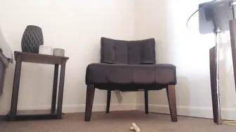 junglefever69x  manyvids playing with sex toys