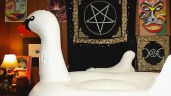 Adalynnx manyvids female in stockings having fun with a phallus