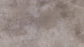 mandy flores manyvids ticket show 3.10.2019