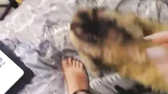 boootystar manyvids adult broadcasr 3.09.2019