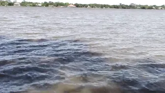 Chezza Luna manyvids cute brunette gets her pussy pounded