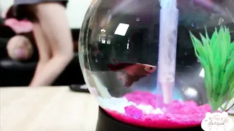 Leda Elizabeth manyvids scene 22.10.2019