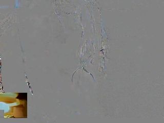 Videos Tagged with WilmaNata - HD Porn videos