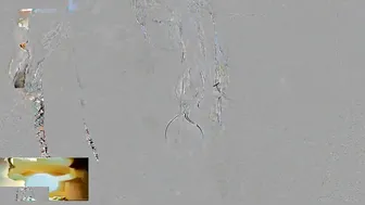 WilmaNata depraved busty bitch