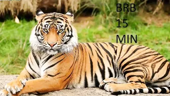 huntertiana luxurious trash fucks pussy brightly