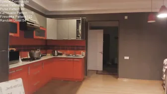 japanlitty frolic while nobody is home