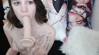 LilNeko busty cutie showed the cap