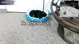 creepycrawlygirl66 hot masturbation