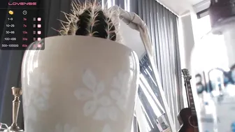 sweetrainbowgirl hot mare stripping in front of the camera