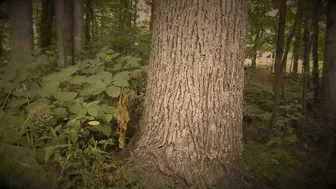 Nikki Eliot double finger penetration